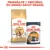 ROYAL CANIN Bengal Adult granuly a ROYAL CANIN Care Intense Beauty kapsička 85 g. Text: Primiešajte 1 vrecúško do dennej dávky granúl.