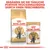Royal Canin Adult British Shorthair Trockenfutter und Frischebeutel. Ergänzen Sie die tägliche Portion Trockenfutter durch einen Frischebeutel.