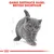 GAMĂ DESTINATĂ RASEI: BRITISH SHORTHAIR, text vizibil deasupra unei imagini cu o pisică British Shorthair gri. Linie roșie și simbol grafic în partea de jos.