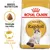 ROYAL CANIN ADULT Ragdoll, obrázek granule, text: Granule na míru, Zdravá kůže a srst, BREED NUTRITION, balení s obrázkem kočky ragdoll.