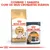 ROYAL CANIN Siamese Adult e ROYAL CANIN Intense Beauty Care 85 g. Texto: Combine 1 saqueta com os seus croquetes diários.