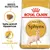 Royal Canin Adult Sphynx macskatáp csomagolás, testre szabott tápszemcse, nagy energiabevitel feliratokkal, Sphynx macska képe a zacskón. Royal Canin Adult Sphynx macskatáp csomagolás, testre szabott tápszemcse, nagy energiabevitel feliratokkal, Sphynx macska képe a zacskón.