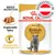 Royal Canin Adult British Shorthair, angepasste Textur, angepasster Energiegehalt, Hergestellt in Österreich.