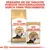 Royal Canin Persian Adult Trockenfutter und Frischebeutel. Ergänzen Sie die tägliche Portion Trockenfutter durch einen Frischebeutel. Verpackung zeigt persische Katze.