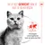 Royal Canin Light Weight Care AirLift Mousse Royal Canin Light Weight Care AirLift Mousse