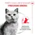Royal Canin Appetite Control Care AirLift Mousse Royal Canin Appetite Control Care AirLift Mousse