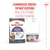 Royal Canin Appetite Control Care AirLift Mousse