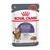 Sachet 85 g Royal Canin Appetite Control Care pour chat, texte visible : over 90% of owners reported controlled begging in 4 weeks, fines lamelles en sauce, image de croquettes et d’un chat.