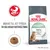 ROYAL CANIN DIGESTIVE kattfoder, text: 'Bidrar till att stödja en hälsosam matsmältning', 95% healthy stool quality in 10 days, bild på foderbit och katt. ROYAL CANIN DIGESTIVE kattfoder, text: 'Bidrar till att stödja en hälsosam matsmältning', 95% healthy stool quality in 10 days, bild på foderbit och katt.