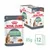 Royal Canin Care Digestive våtfoder för katt, 12 portionspåsar à 85 g. Text: '95 % healthy stool quality in 10 days', tunna skivor i sås. Bild på katt och foder.