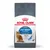 Sachet Royal Canin Care Light Weight pour chats, texte visible : Helps limit weight gain, over 90 % of cats achieved a healthy weight in 8 weeks, image d’un chat roux à poils longs.