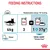 Feeding instructions: for a 4kg cat, give either 3 pouches daily or 1 pouch plus 37g dry food. Always provide water. Metabolisable energy: 767 kcal/kg. For Royal Canin Urinary Care.