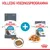 Royal Canin Urinary Care kattenvoer: zak droogvoer, pouch natvoer en brokjes op een bord. Tekst: VOLLEDIG VOEDINGSPROGRAMMA.