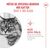 Royal Canin Ageing 11+ i gelé