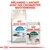 Royal Canin Home Life Indoor 7+ croquettes et Royal Canin Instinctive 7+ sachet pour chats, texte : Mélangez 1 sachet avec ses croquettes quotidiennes
