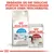 Royal Canin Home Life Indoor Appetite Control Trockenfutter und Royal Canin Instinctive Frischebeutel für Katzen. Ergänzen Sie die tägliche Portion Trockenfutter durch einen Frischebeutel.
