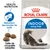 ROYAL CANIN INDOOR Long Hair, réduction des boules de poils, taille de croquette adaptée, Health Nutrition, image d’un chat à poil long et croquettes visibles sur l’emballage.