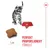 Royal Canin Kitten Sterilised Royal Canin Kitten Sterilised