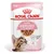 Royal Canin Sterilised Kitten i saus
