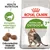 Royal Canin Active Life Outdoor 7+, kompleks wspierający witalność, odpowiednia wielkość krokietów, widoczny kot na opakowaniu. Health Nutrition.