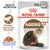 Royal Canin Ageing 12+ kissan märkäruoka, 85 g x 12. Nivelten hyvinvointi EPA/DHA. HYHYTELÖ. Health Nutrition. Kuvassa vanhempi kissa.