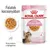 Royal Canin FHN Sterilized Kitten aszpikban - 12 x 85 g Royal Canin FHN Sterilized Kitten aszpikban - 12 x 85 g