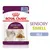 ROYAL CANIN SENSORY SMELL gelé, 85 g. Bild på förpackning med katt och bitar i gelé. Text: SENSORY SMELL, GELÉ, Feline Health Nutrition. ROYAL CANIN SENSORY SMELL gelé, 85 g. Bild på förpackning med katt och bitar i gelé. Text: SENSORY SMELL, GELÉ, Feline Health Nutrition.