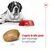 Croquette de taille géante, environ 1 cm, pour encourager la mastication. Chien de grande taille couché à côté d’une gamelle rouge remplie de croquettes. Marque Royal Canin visible.