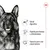 Salud digestiva, soporte para huesos y articulaciones, soporte para una salud óptima. Texto junto a ilustraciones de perro y símbolos. Marca Royal Canin visible arriba a la derecha.