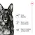 Saúde digestiva, apoio à saúde osteoarticular e suporte à vitalidade ao longo da vida indicados junto a ilustrações de cão. Marca Royal Canin visível no canto superior direito.