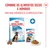 Royal Canin Maxi Puppy em molho