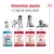 Royal Canin – alimentation adaptée à l’âge du chien : Puppy 2–12 mois, Medium Adult 12 mois–7 ans, Medium Adult 7+ 7–10 ans, Medium Ageing 10+ après 10 ans. Sacs de croquettes visibles.