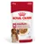 Royal Canin medium adult, 140 g, pedaços em molho para cães médios adultos (11–25 kg), suporte da massa muscular. Imagem de cão e comida visível na embalagem.