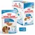 Royal Canin Medium Puppy i sås