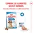 Royal Canin Medium Starter Mother & Babydog