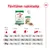 Royal Canin Mini Adult -päivittäinen ruokintaohje: taulukko koiran painon (2 kg, 6 kg, 10 kg) ja liikunnan määrän mukaan. Kuivaruoan ja märkäruoan annoskoot näkyvissä grammoina ja purkkeina.