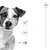 Imagem de cão com ícones ilustrativos: silhueta de cão, articulações e seta para a direita. Coroa vermelha no canto superior direito.