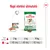 Napi etetési útmutató Royal Canin Mini Ageing 12+ kutyatápra: 2 kg-hoz ½ konzerv + 23 g, 6 kg-hoz ½ konzerv + 85 g, 10 kg-hoz ½ konzerv + 136 g száraz táp.
