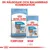 Royal Canin Puppy Medium 11–25 kg, torrfoder 4 kg och bitar i sås 140 g. Text: En hälsosam och balanserad kombination. Tydlig märkning av produkttyp och vikt.