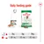 Daily feeding guide showing recommended amounts for 2kg, 6kg, and 10kg dog weights: half a can plus 23g, 84g, or 134g of dry food respectively.