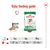 Daily feeding guide showing for 2kg, 6kg and 10kg body weight: half a can plus 23g, 85g or 136g of dry food respectively. Includes images of wet and dry food packaging.