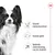 Gezond immuunsysteem, gezond gebit, optimale ondersteuning van de vitaliteit – drie productkenmerken naast afbeelding van een hond en Royal Canin kroon symbool.