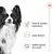 Santé du système immunitaire, santé dentaire, soutien optimal de la santé – texte visible à côté d’un chien noir et blanc. Couronne rouge en haut à droite.