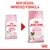 Royal Canin Mother & Babycat kattmat, bild på gammal och ny förpackning med texten 'NEW DESIGN, IMPROVED FORMULA'. Ny design visar 1–4 months/mois.