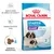 Royal Canin Starter Mother & Babydog Giant 1–2 months. Apoio à saúde da cadela e do cachorro, sistema imunitário forte, croquete reidratável. Imagem de cão adulto e cachorro.