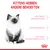 KITTENS HEBBEN ANDERE BEHOEFTEN: kwetsbaar immuunsysteem, ontdekkingsfase, kwetsbaar spijsverteringsstelsel. Royal Canin merk zichtbaar.