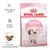 Royal Canin Kitten Up to 12 months, crocchette per gattini, difese naturali ottimali, sviluppo cerebrale, crocchette di dimensione adattata, confezione rosa con gatto.