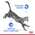 Royal Canin Indoor Sterilised 7+ i gelè