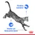Text: Föredras instinktivt. Vitalitet och hälsosamma njurar. Bild på hoppande katt, Royal Canin-symbol synlig längst ner till höger.