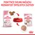 Royal Canin Kitten suché a mokré krmivo pre mačiatka do 12 mesiacov, balenie 85 g a granule, miska s oboma typmi krmiva. Text: Poskytnite svojmu mačiatku rozmanitosť zmyslových zážitkov.